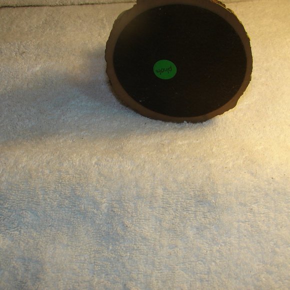 "G-31" Upside Daisey - Picture 4 of 4